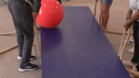 giphy.gif