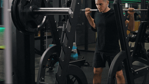 Barbell squat with pause