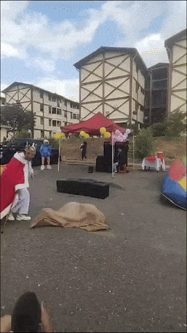 giphy-downsized-large.gif