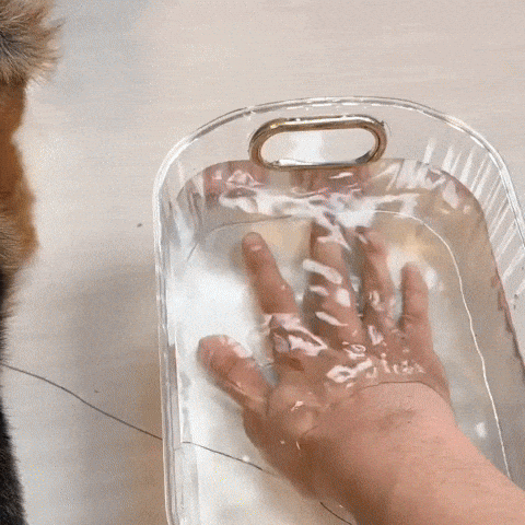 PetCare® - Cepillo Vaporizador para Mascota – Luz de Quito
