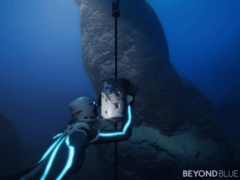 "Gameplay Beyond Blue The Tropical Reef - Khám phá đại dương nhiệt đới"
