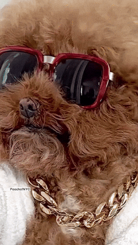 Fresh style inspiration GIF