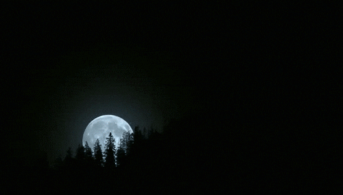 gif-dark