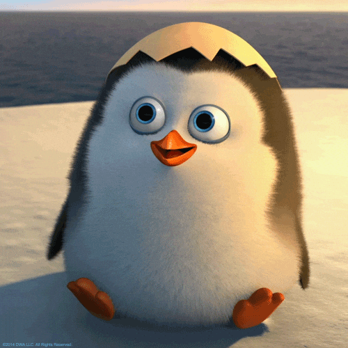hello_penguine