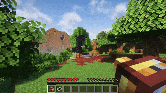 Demonstration of how to use the camera