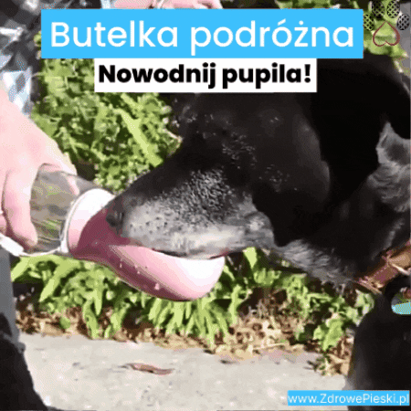 Dozownik z wodą w butelce podróżnej