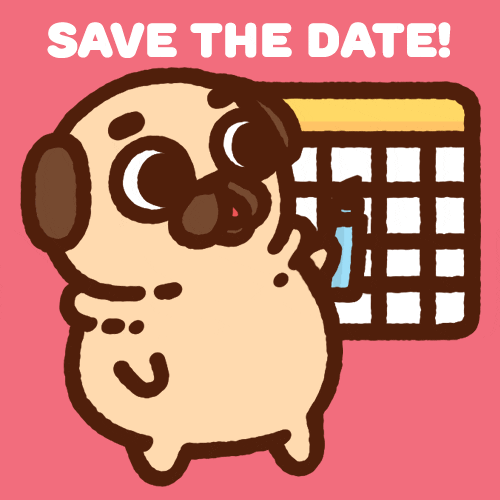 Animated gif of pug pointing at important date on calendar