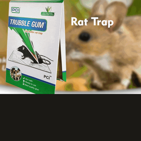 PCI Cardboard Troublegum Small Size Mouse Trap-1pc PCI Cardboard Troublegum Small Size Mouse Trap-1pc