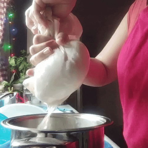 giphy.gif