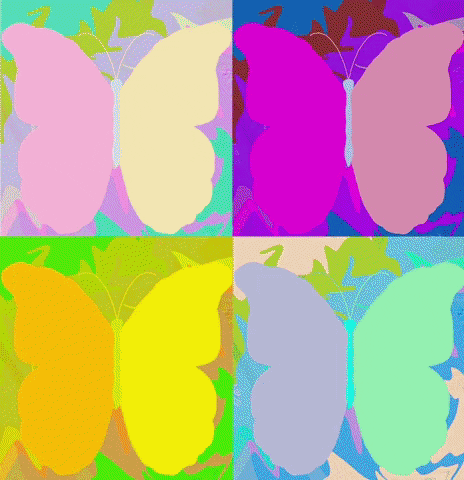 butterfly art gif