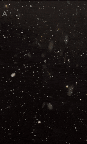 giphy-downsized-large.gif