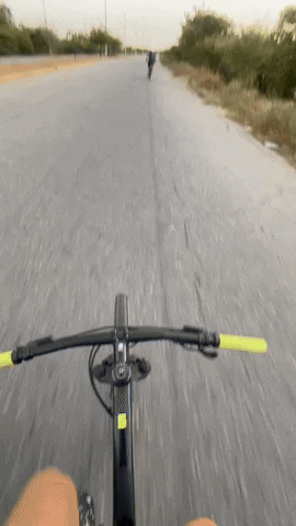 giphy.gif