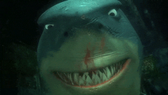 shark