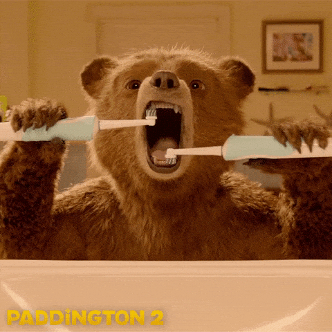 oso paddington lavando sus dientes