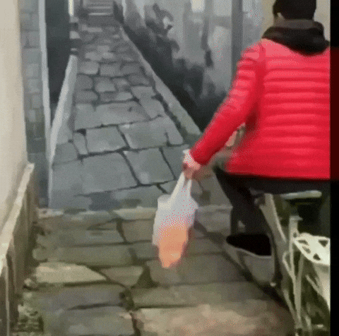 giphy.gif