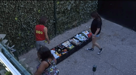 giphy-downsized-large.gif
