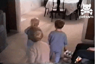 giphy.gif