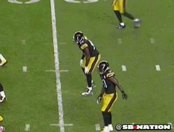 giphy.gif