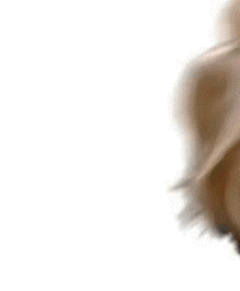 giphy.gif