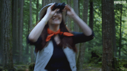 Tripping over birdwatching Tripping over birdwatching