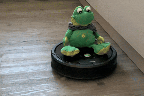 giphy.gif