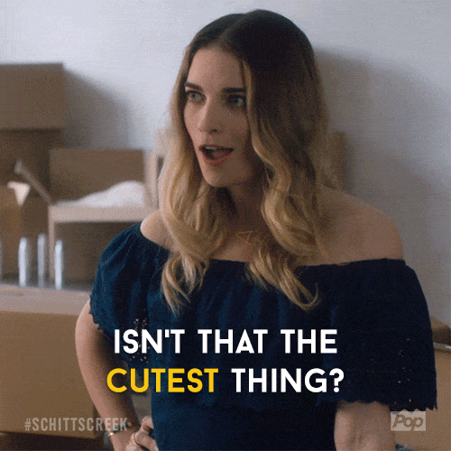 giphy-downsized-large.gif