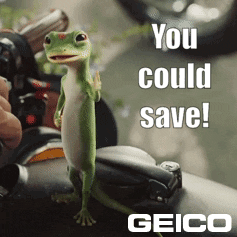 Little geco saying: 'you could save'