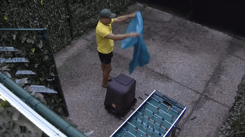 giphy.gif