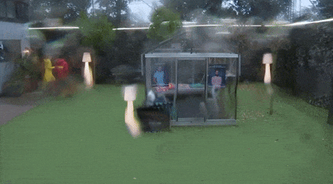 giphy-downsized-large.gif
