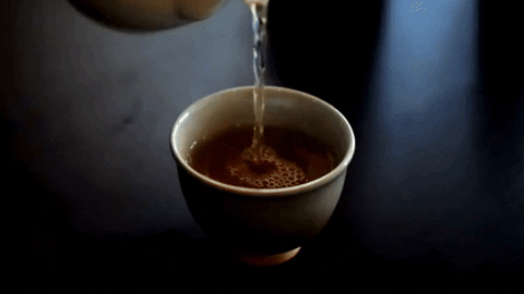 Oregano Tea Recipe