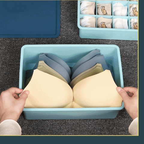 Plastic Underwear Storage Organizer Plastic Underwear Storage Organizer