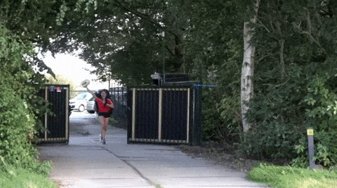 giphy-downsized-large.gif