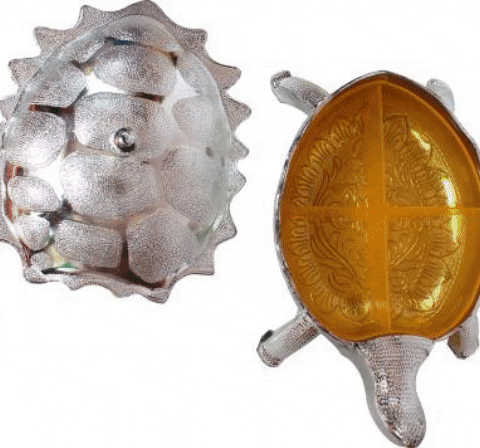 2237 Multipurpose Tortoise Shape Dry Fruit/ Gift Box