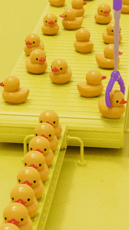 [Linked Image]