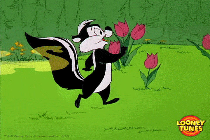 giphy.gif