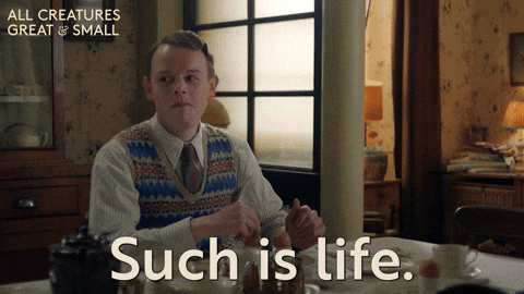 GIF of a guy having lunch and saying Such is life