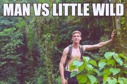 Man vs little wild