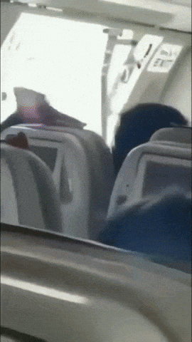 Еще один пассажир попытался открыть дверь самолета во время перелета в Южную Корею