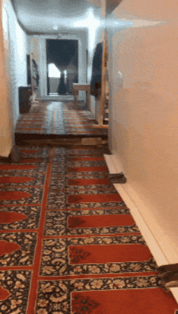 giphy-downsized-large.gif
