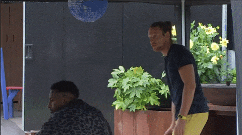 giphy-downsized-large.gif
