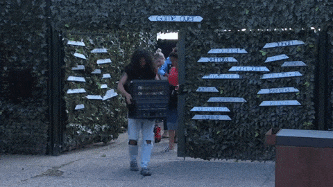 giphy-downsized-large.gif