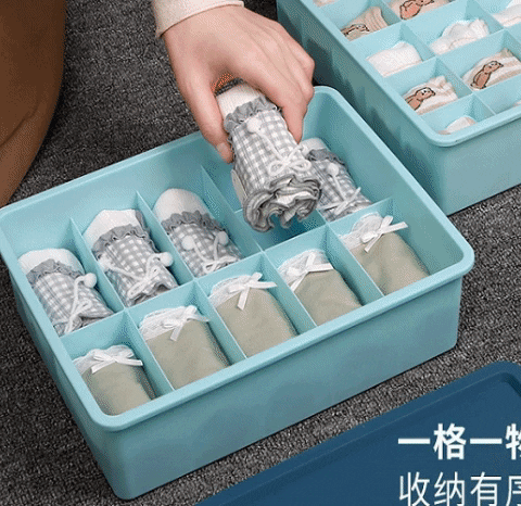 10 Grid Under Garment Storage Box 10 Grid Under Garment Storage Box