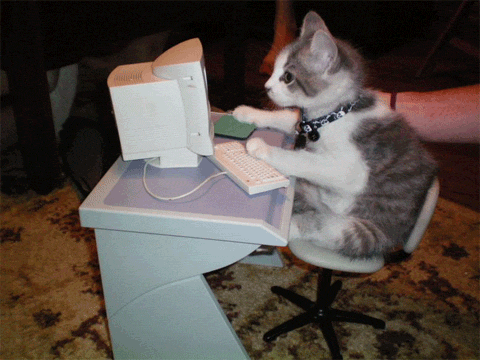 Filhote de gato cinza e branco digitando com as patinhas em um mini teclado branco de um mini computador