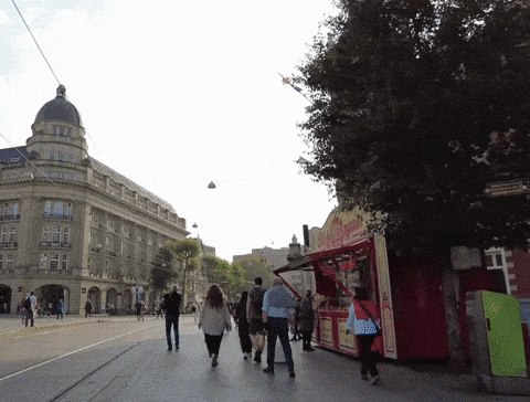 giphy-downsized-large.gif