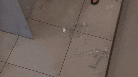 giphy-downsized-large.gif