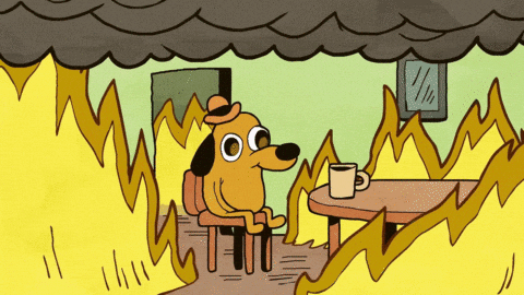 This is fine dog