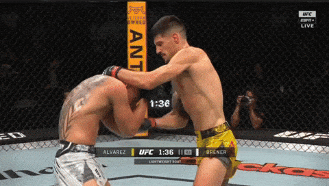 giphy-downsized-large.gif
