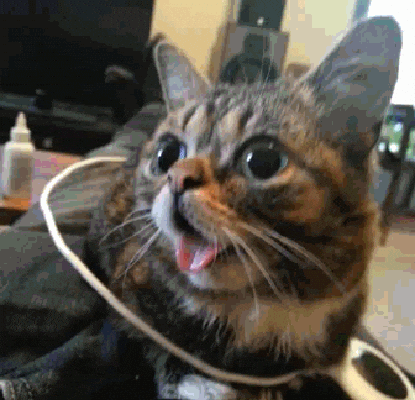 [Image: giphy.gif]