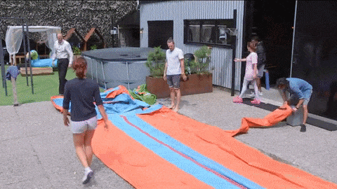 giphy-downsized-large.gif