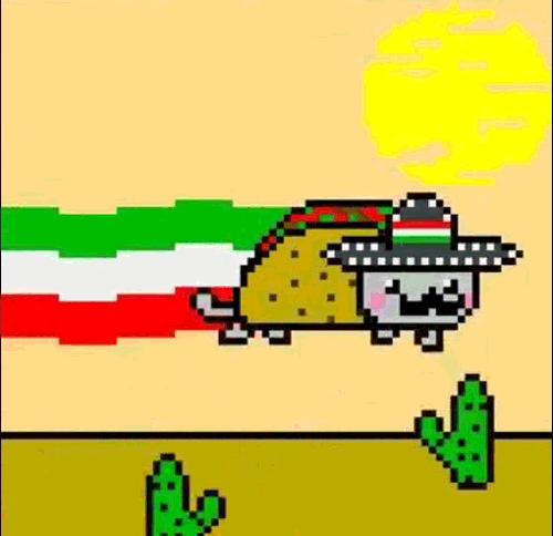 gif-4